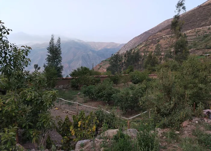 Apu San Isidro * Urubamba